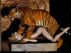 Powerful tiger fucking pinned doxy in this animated beastiality episode 